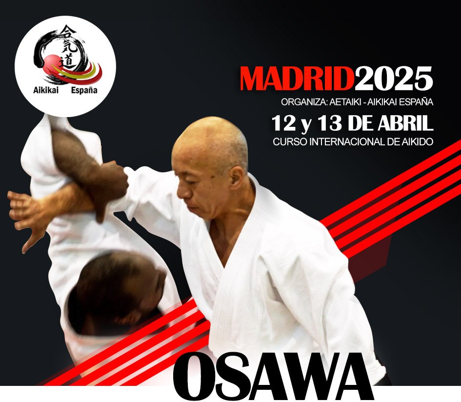 Curso de Aikido en Madrid Osawa Sensei