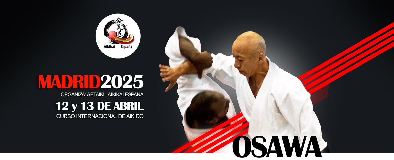 Osawa Sensei curso Aikido Madrid 2025